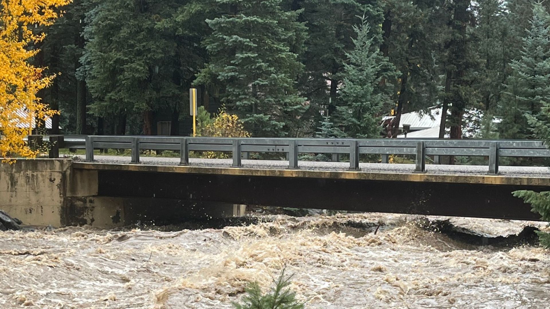 Conejos River Normal Conditions